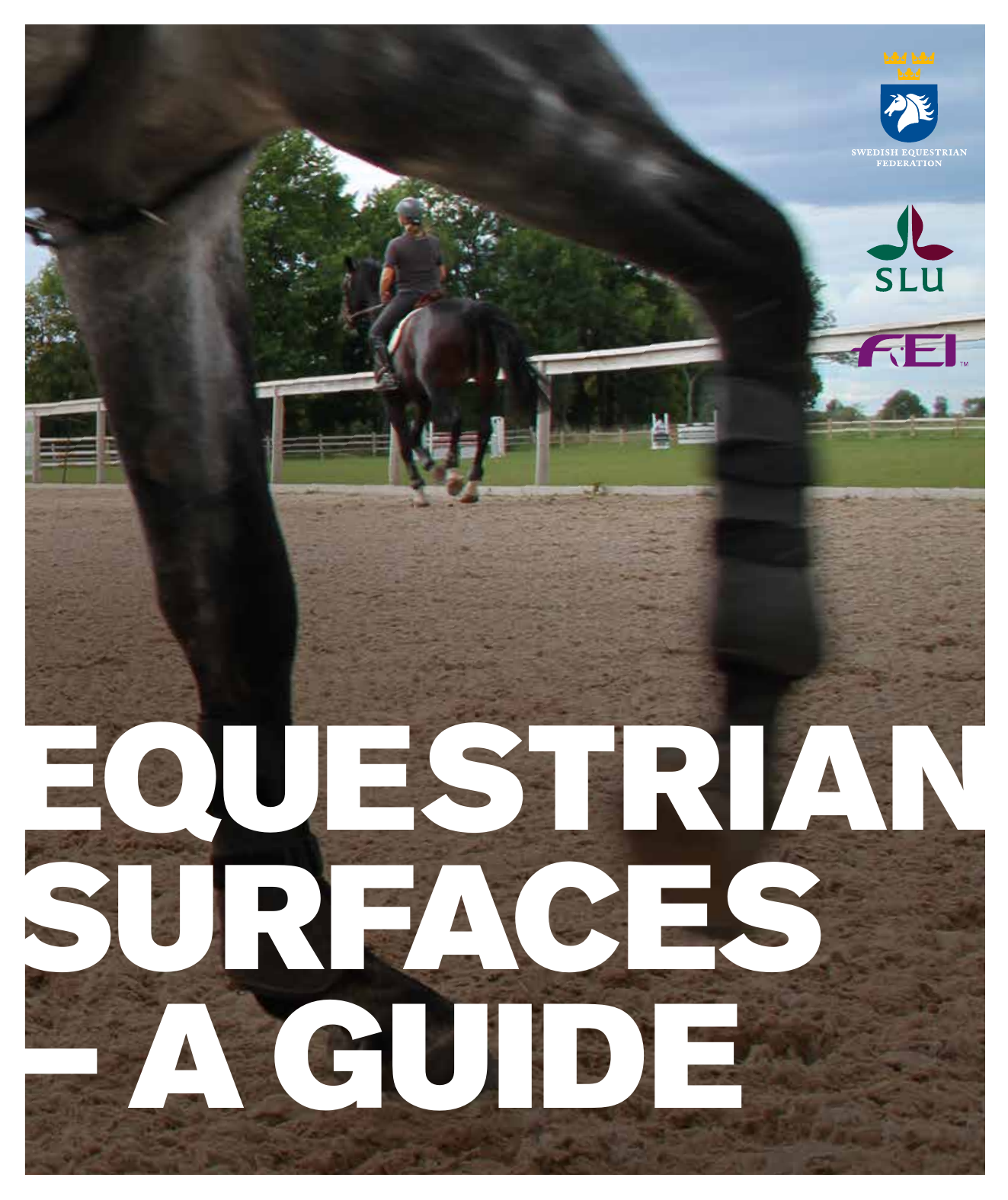 Equestrian Surfaces - A Guide