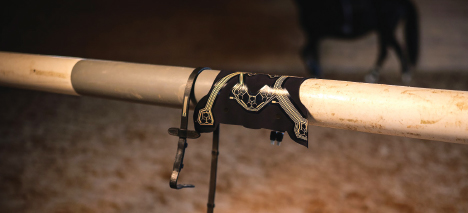 Printed sensors take equestrian sport to the next level