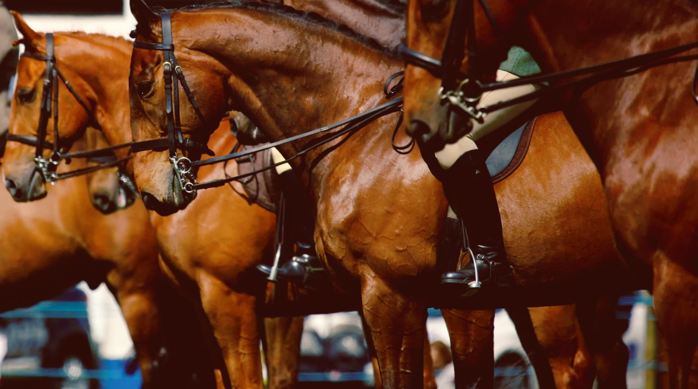 Development application