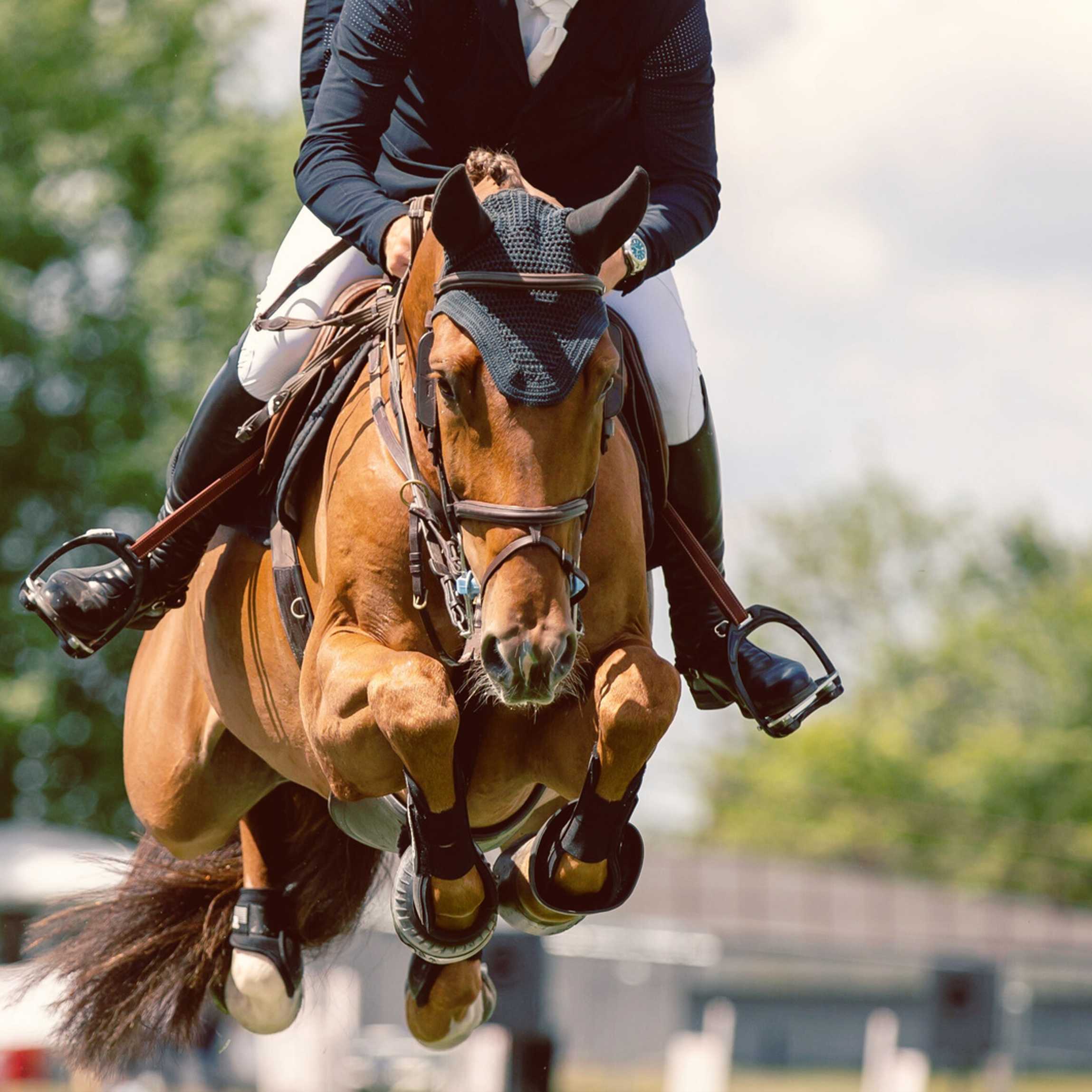 Commercial application